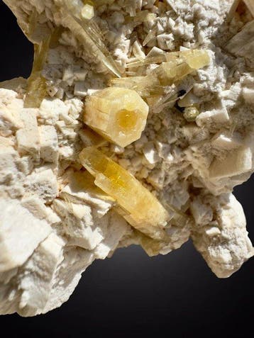RAAR! Ongelooflijk monster van mimetit op dolomiet, Verzamelen, Mineralen en Fossielen