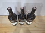1946 , 1947, 1948 Château le Monastir Del Camp - Rivesaltes, Verzamelen, Wijnen, Nieuw