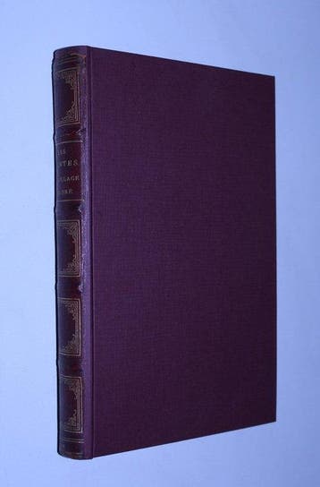 Edward Joseph Lowe / W. Howard - Les Plantes à Feuillage
