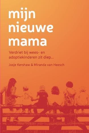 Mijn nieuwe mama 9789090283845 Evelien Baks, Boeken, Hobby en Vrije tijd, Gelezen, Verzenden