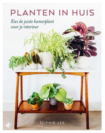 Planten in huis 9789022334065 Sophie Lee, Verzenden, Zo goed als nieuw, Sophie Lee