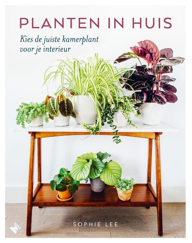 Planten in huis 9789022334065 Sophie Lee, Livres, Loisirs & Temps libre, Envoi