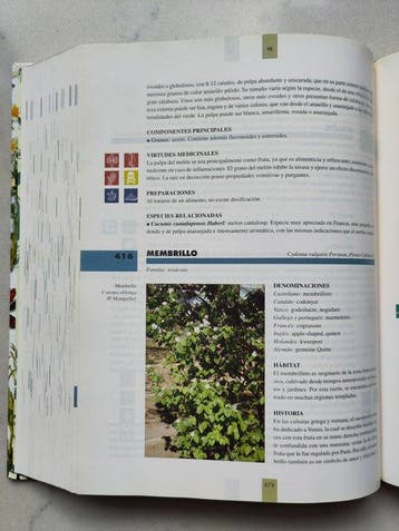 Dr. Berdonces i Serra - Gran Enciclopedia de las Plantas