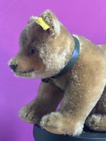 Steiff: bruine beer, 1952, EAN 1317.0 - Ours en peluche -, Antiek en Kunst