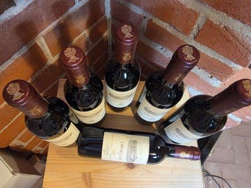 2020 Tenuta dellOrnellaia, Ornellaia - Bolgheri Superiore -, Nieuw