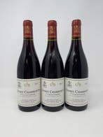 2017 Coudray Bizot Les Cazetiers - Gevrey Chambertin 1er, Collections, Vins