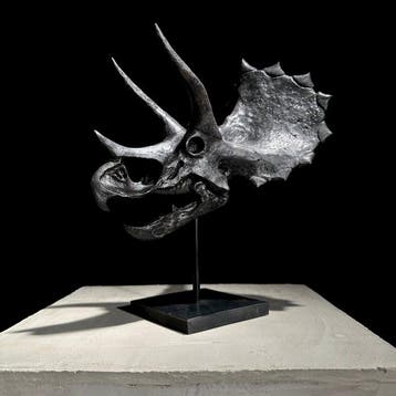Geen minimumprijs - Replica van een Triceratops-dinosaurus