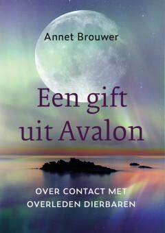 Een gift uit Avalon 9789083361581 Annet Brouwer, Livres, Livres Autre, Envoi