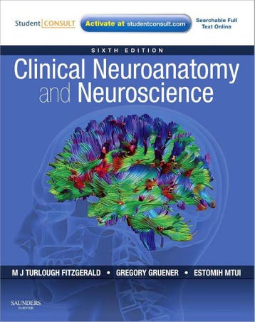 Clinical Neuroanatomy and Neuroscience 9780702037382, Verzenden, Gelezen, Estomih Mtui