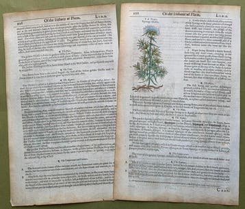 The Herball or generall Historie of Plantes [5 xilografie di