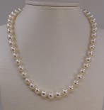 Halsketting Zilver, 8x8,5 mm heldere Akoya-parels, Nieuw