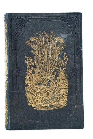 Achille Comte - Histoire naturelle racontée à la jeunesse -