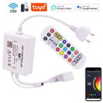Wi-Fi en IR 24Knops Afstandsbediening voor RGB LED strip 22, Verzenden