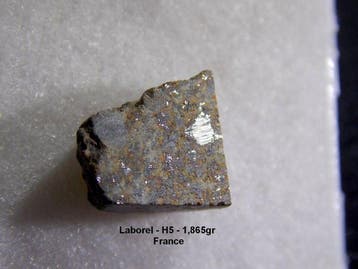 Laborel Chondriet H5 - Hoogte: 13 mm - Breedte: 10 mm - 1.87