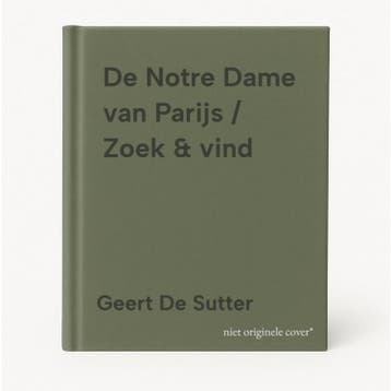 De Notre Dame van Parijs / Zoek & vind 9789085283218, Verzenden, Geert De Sutter