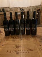 2023 Tua Rita, Perlato del Bosco - Toscane IGT - 6 Fles, Nieuw