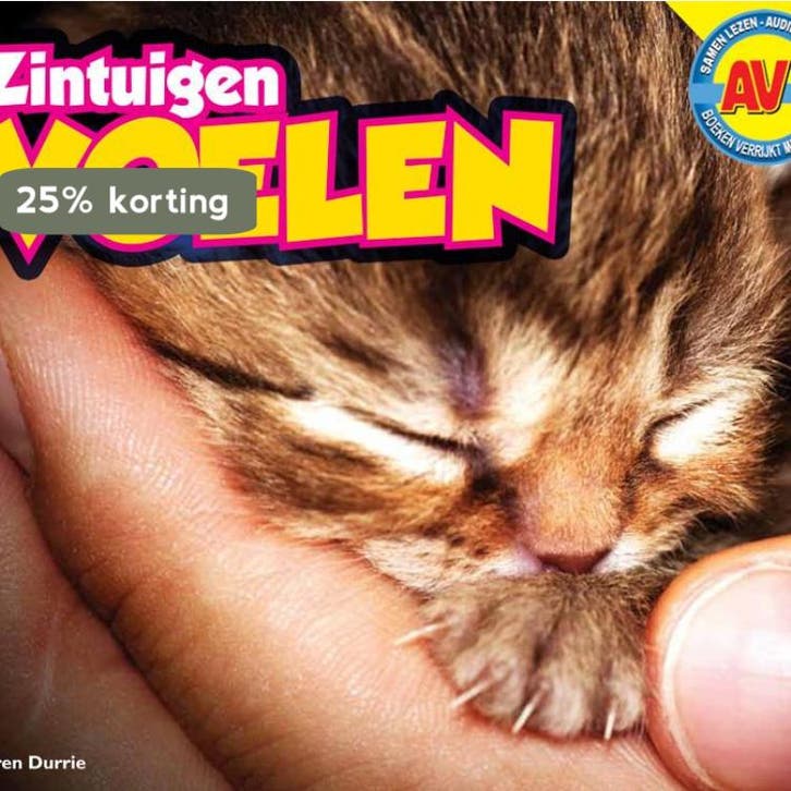 Voelen / Zintuigen (AV+) 9789461750938 Karen Durrie, Livres, Livres pour enfants | Jeunesse | 10 à 12 ans, Envoi