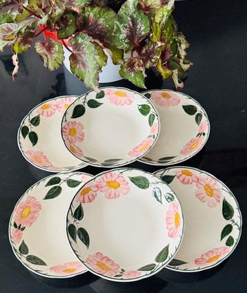 Villeroy & Boch - Plat (6) - wild-Rose - Porcelaine, Antiquités & Art