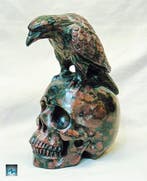 Raafsculptuur op een menselijke schedel, met de hand uit, Verzamelen, Mineralen en Fossielen