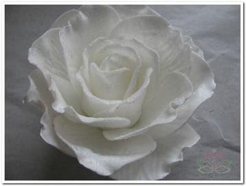 Foamroos Sophie Snow White 15 cm Doos 12 stuks, Nieuw