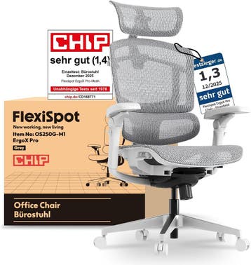 FLEXISPOT Ergonomische bureaustoel ErgoX Pro-Mesh grijs, Met, Verzenden, Nieuw