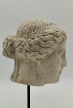 Sculpture, Testa greco romana - 31 cm - poussière de marbre