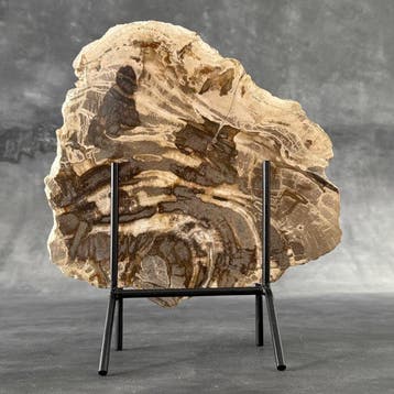 Prachtige plak versteend hout op een op maat gemaakte