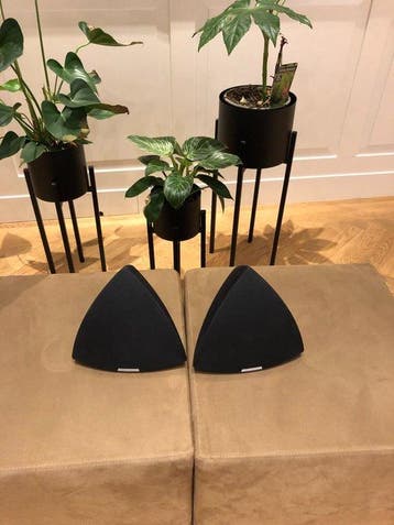 Bang & Olufsen - BeoLab 4 Actieve speakers Luidsprekerset