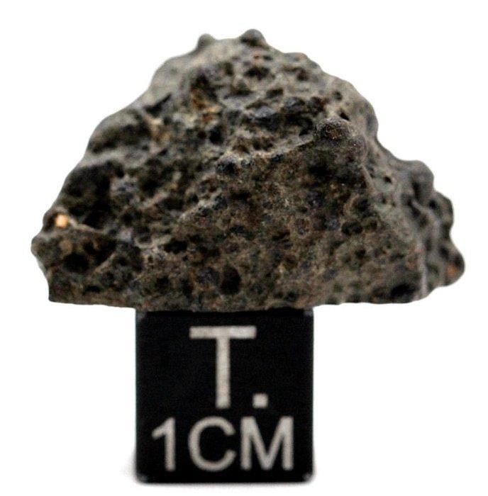 NWA 17750 CK4 koolstofrijke meteoriet Koolhoudende chondrite, Verzamelen, Mineralen en Fossielen