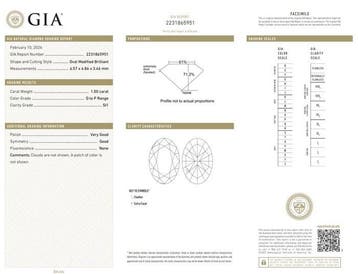 1 pcs Diamant (Natuurlijk gekleurd) - 1.00 ct - Ovaal -, Nieuw