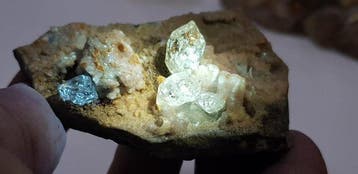 Florescent petroleum kwarts Mineralencollectie - Hoogte: 70