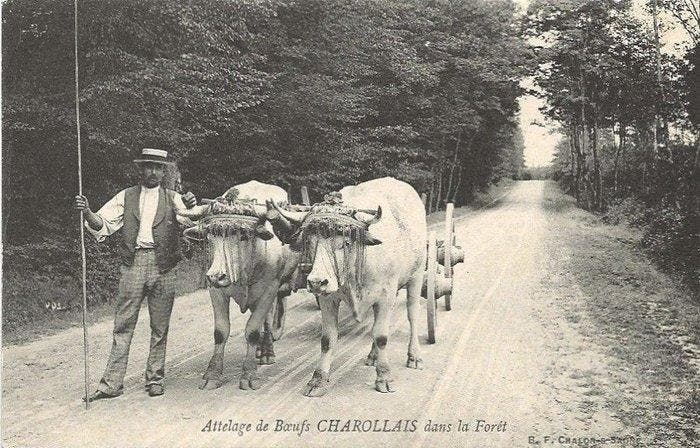 France - Sélection de belles Cartes Postales Anciennes de, Verzamelen, Postkaarten | Buitenland