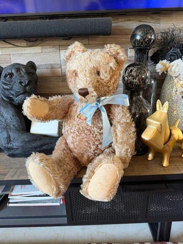 Steiff - Ours en peluche - 1950-1960 - Allemagne
