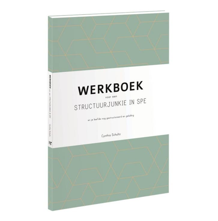 Werkboek voor een structuurjunkie in spe 9789463491037, Boeken, Hobby en Vrije tijd, Zo goed als nieuw, Verzenden