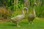 sculptuur, Lifesize Pair of Geese (fountain) - 68 cm - Brons