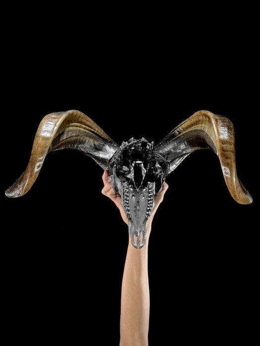 PAS DE PRIX DE RÉSERVE -C- Tête de bélier noire entièrement, Antiquités & Art, Art | Objets design