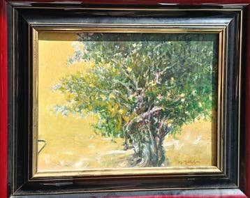 Giuseppe Montalbano (1940-2013) - Ulivo