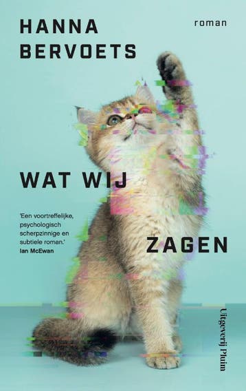 Wat wij zagen 9789493339071 Hanna Bervoets, Verzenden, Gelezen, Hanna Bervoets