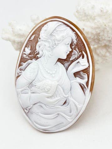 CASSIS MADAGASCARIENSIS - Cameo - Handgegraveerde camee