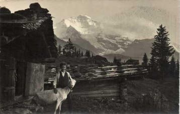 Animaux, Chèvres avec beaucoup de cartes anciennes. - Carte