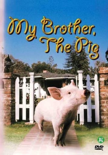 My brother the pig (dvd tweedehands film), Ophalen of Verzenden, Nieuw in verpakking