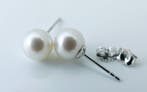 Zonder minimumprijs - Oorbellen - 14 karaat Witgoud Parel -