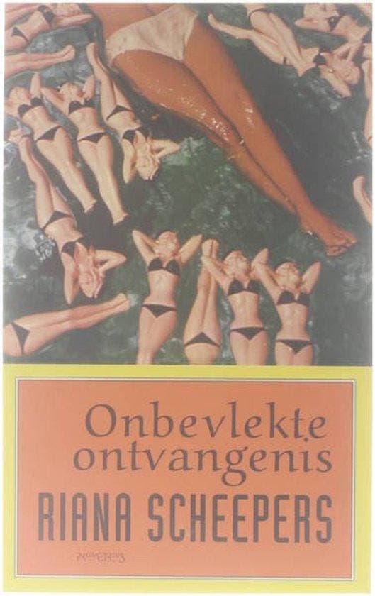 Onbevlekte ontvangenis 9789053333716 R. Scheepers, Livres, Romans, Envoi