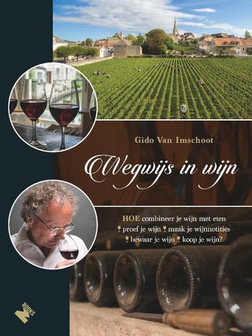 Wegwijs in wijn 9789022334089 Gido Van Imschoot, Verzenden, Gido Van Imschoot