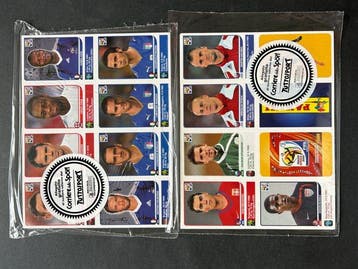 Panini World Cup South Africa 2010 Compleet album - Mint (M), Verzamelen, Nieuw