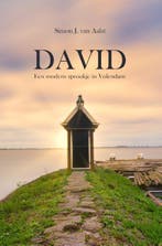 David 9789464034042 Simon van Aalst, Boeken, Verzenden, Gelezen, Simon van Aalst