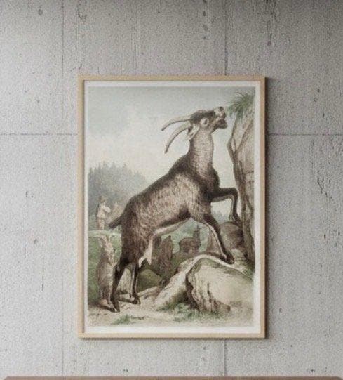 Leutemann and Schmidt - 100% Original 1878 lithographic, Antiek en Kunst, Curiosa en Brocante