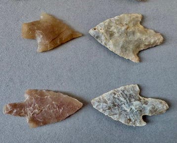 Sahara Silex Pijlpunt (Zonder minimumprijs)