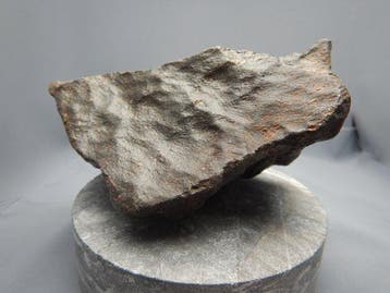 Chondrite Météorite de Chondrite - 760 g - (1)