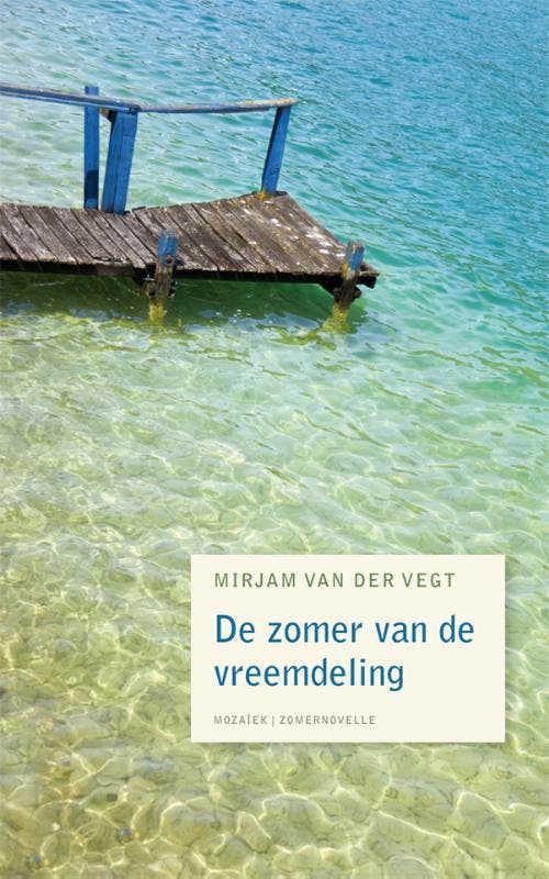 De zomer van de vreemdeling 9789023994169, Livres, Romans, Envoi